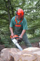 Click to see it big Ich mit Kettensäge, Impression aus dem Wald